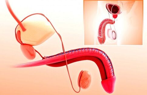 penile deformity and glandular enlargement