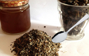 herbs to increase member